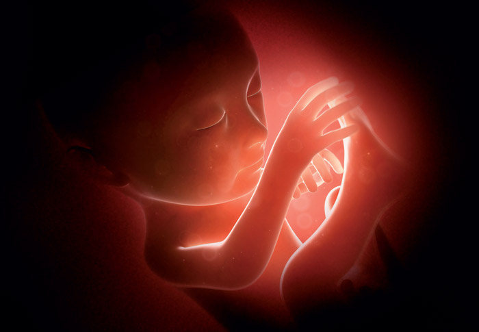 Abtreibung: Das weltweite Massensterben