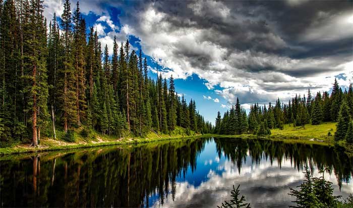 Das Paradies auf Erden: das Millennium