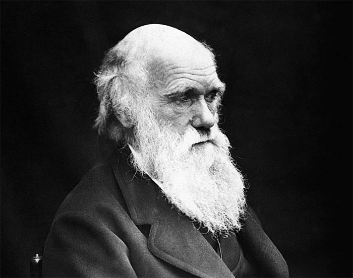 Der bröckelnde Darwinismus