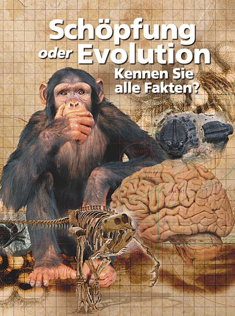 Schöpfung oder Evolution: Kennen Sie alle Fakten?
