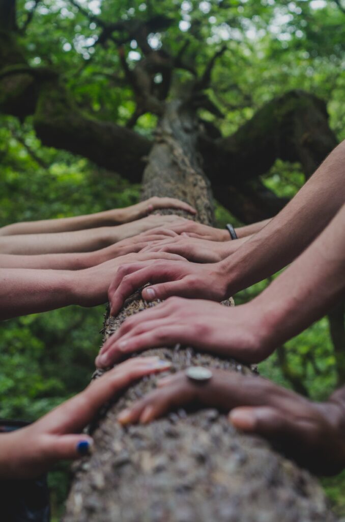Die Aufnahme in die ewige Familie Gottes