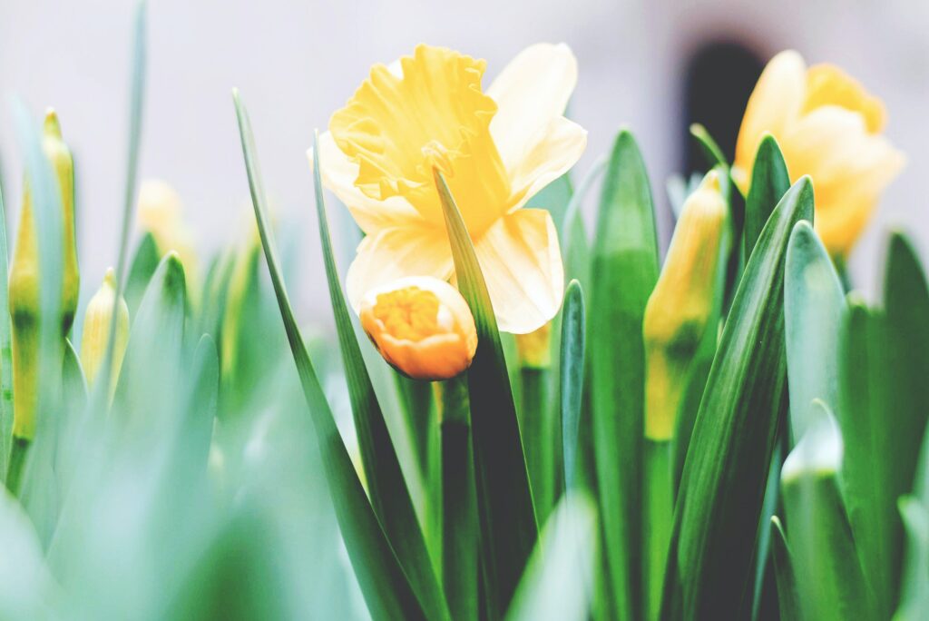 Ostern war keine frühchristliche Tradition