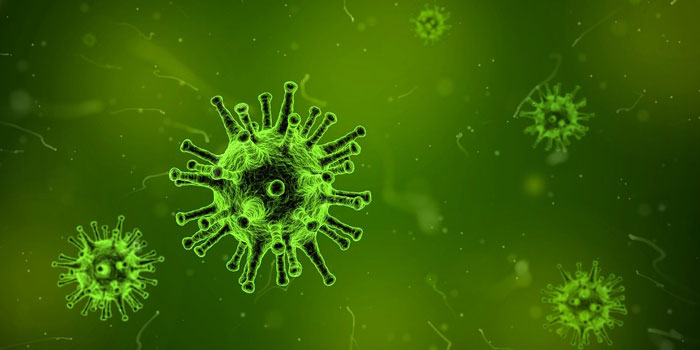 Tödliche Seuchen: wieder eine Bedrohung für uns?