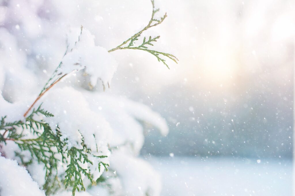 Weihnachten: Alles andere als ein biblisches Fest