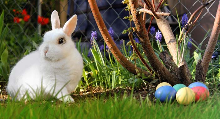 Sind Karfreitag und Ostern biblische Feste?